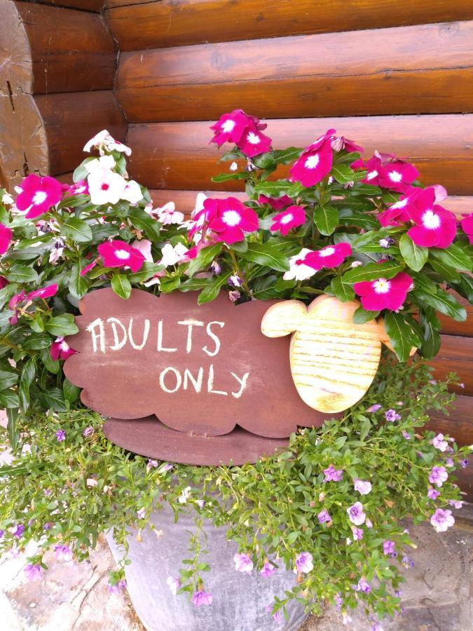 Au Paradou Du Bucheron Adults Only Lessive Esterno foto